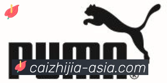 彩之家合作伙伴